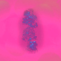 Serotonin bubble bath