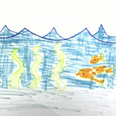 Dri - brand new rocket