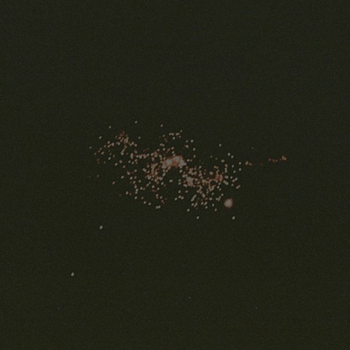 We Have Not Touched The Stars, Nor Are We Forgiven