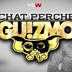 Guizmo - Chat perché Y&W