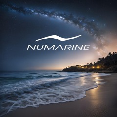 Numarine 2025 The Night Playlist