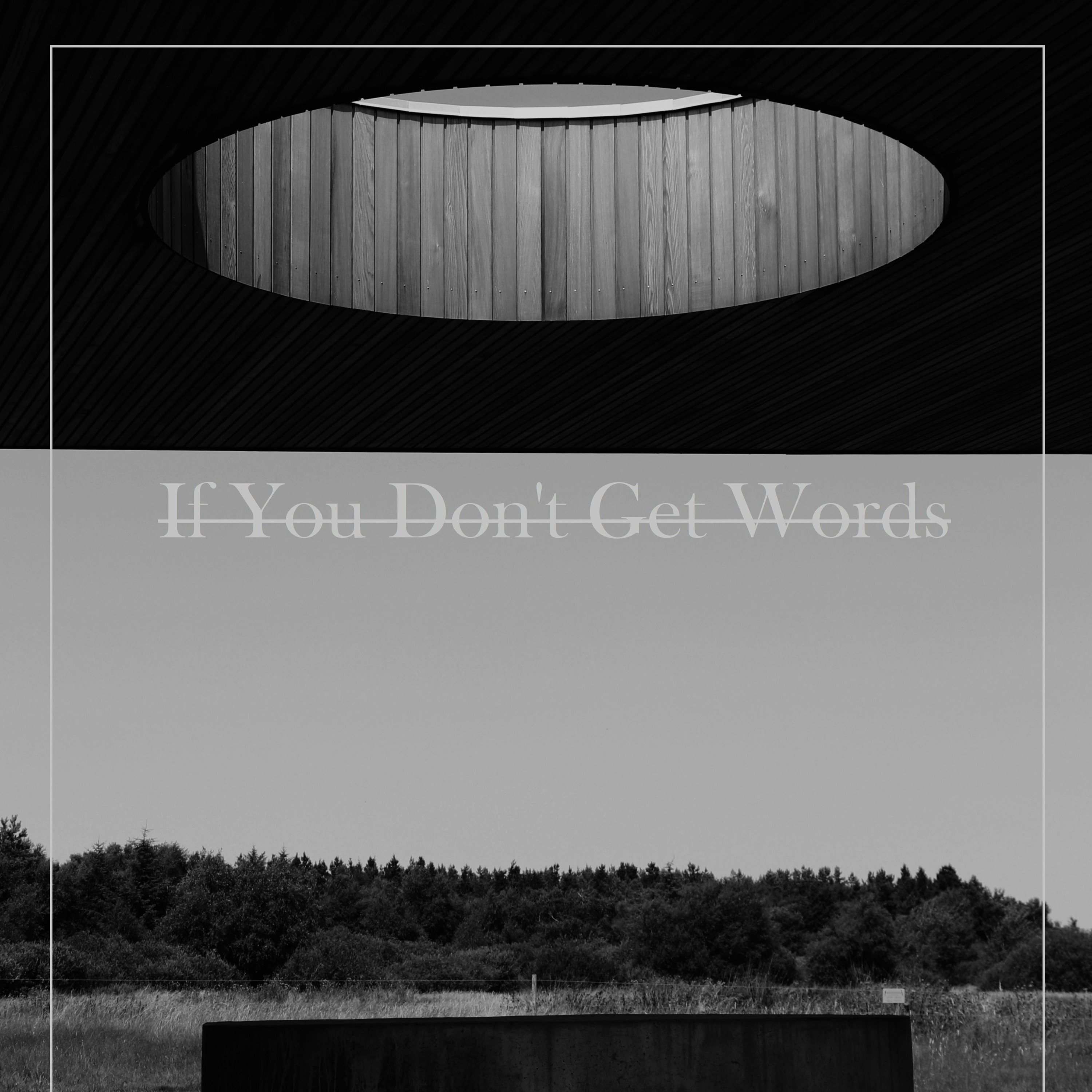 Fir Cone Children - If You Don't Get Words episode artwork