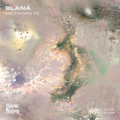 meltdown 73 - blană