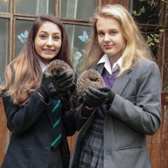 precious time (prod omg ari)