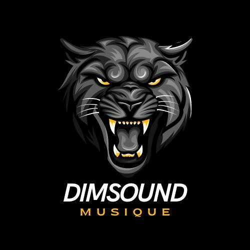 Loic D Feat Wil R - In the Dark ( DimSound Remix )
