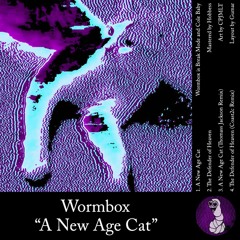 Wormbox - A New Age Cat