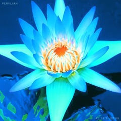Perylian - Alice's Lotus