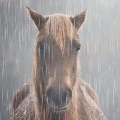 Muskato ft bryan4ever  eng x esp