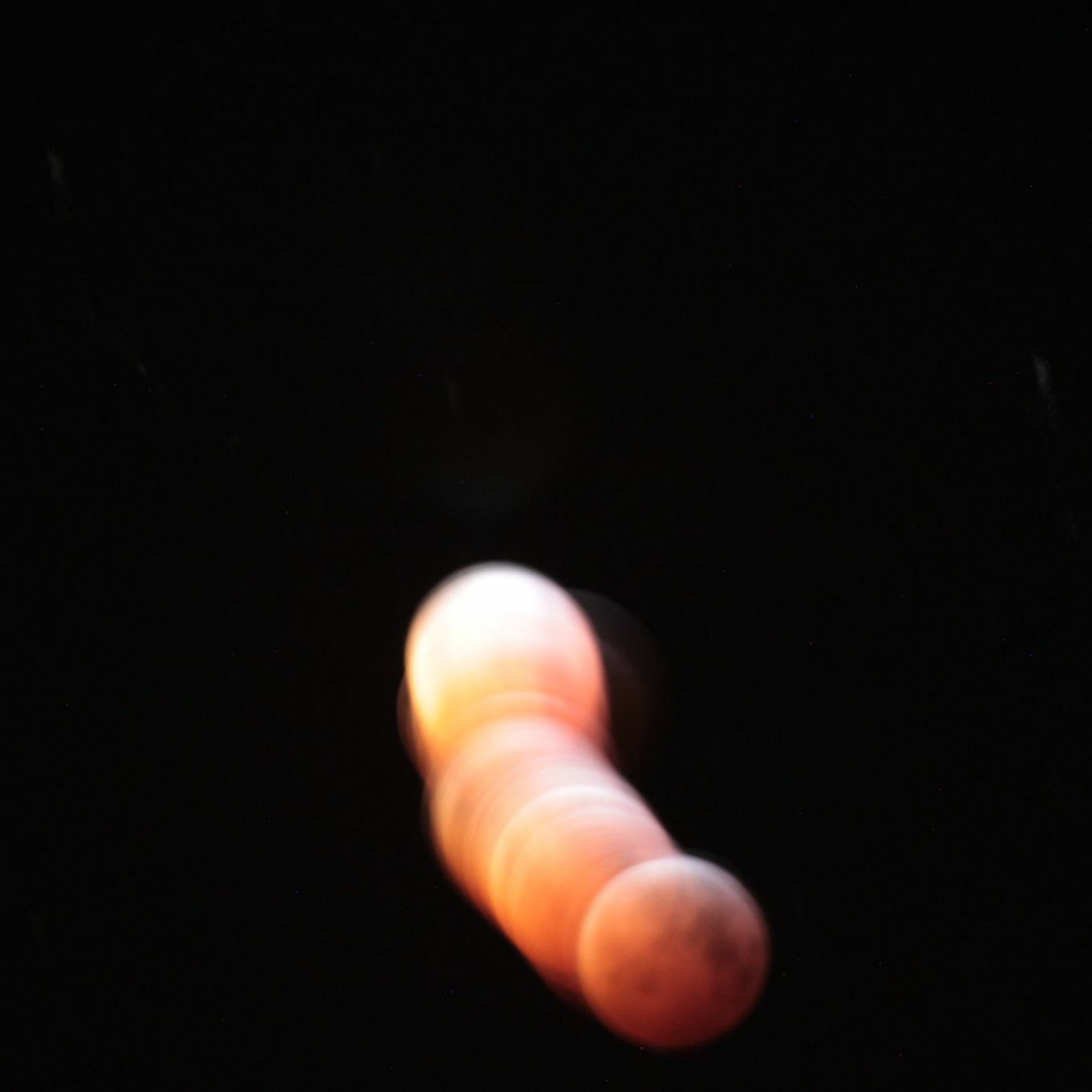 Fingo Rei