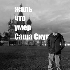 Жаль что умер Саша Скул