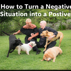 How to STOP Negative Talk