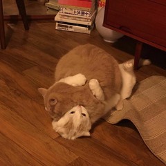 Ксения Исаева - Ягами (White Punk Cover)