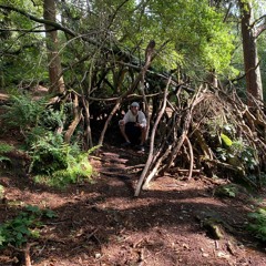 forestwalk