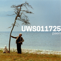 Paein - Live on ultrawizardsword.net (01-17-25)