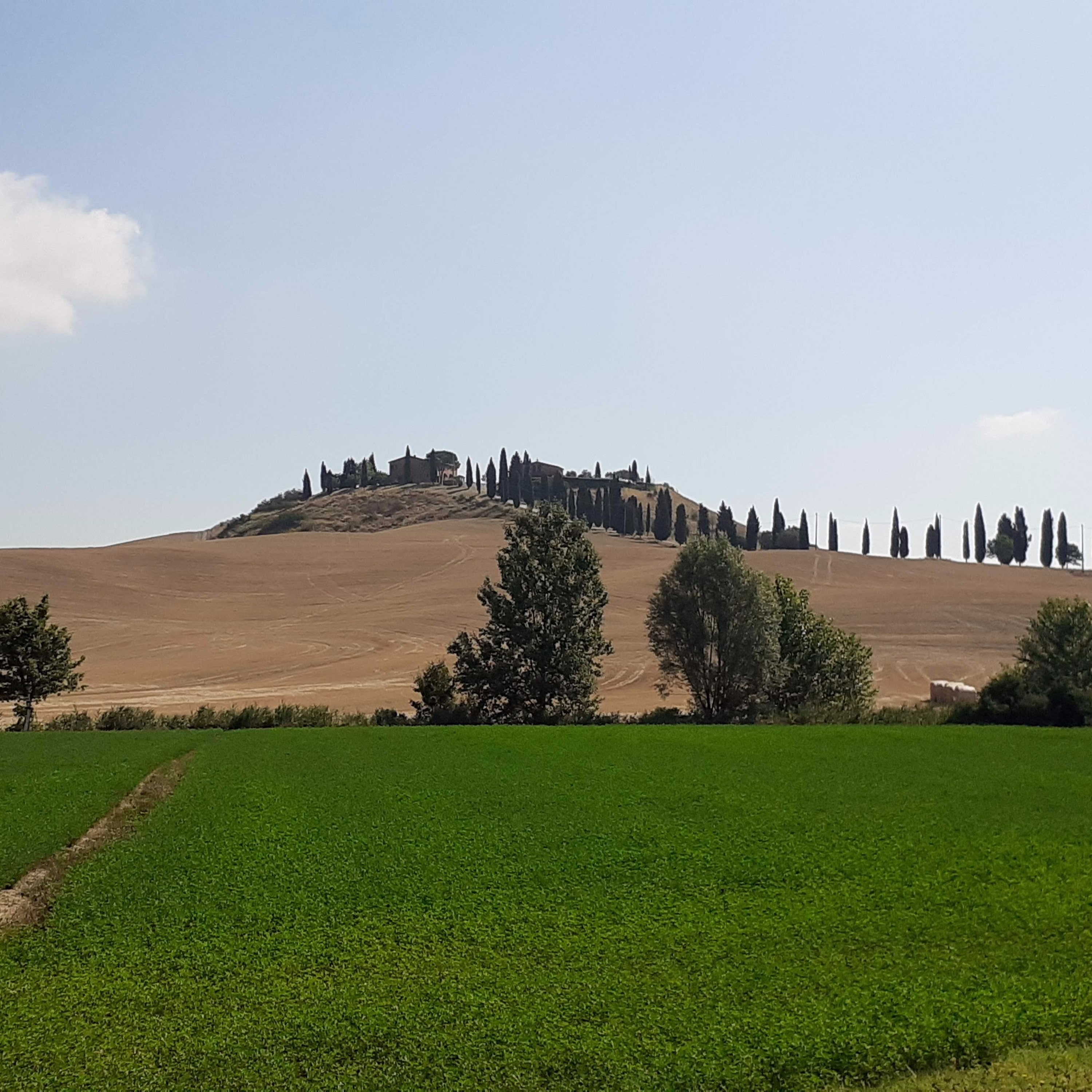 Quattro Stagioni 22-  Intervista in dialetto n.1: senese (26.7.20)