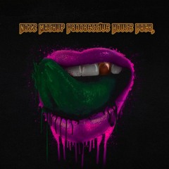 Nozz Mashup Progressive House Pack .