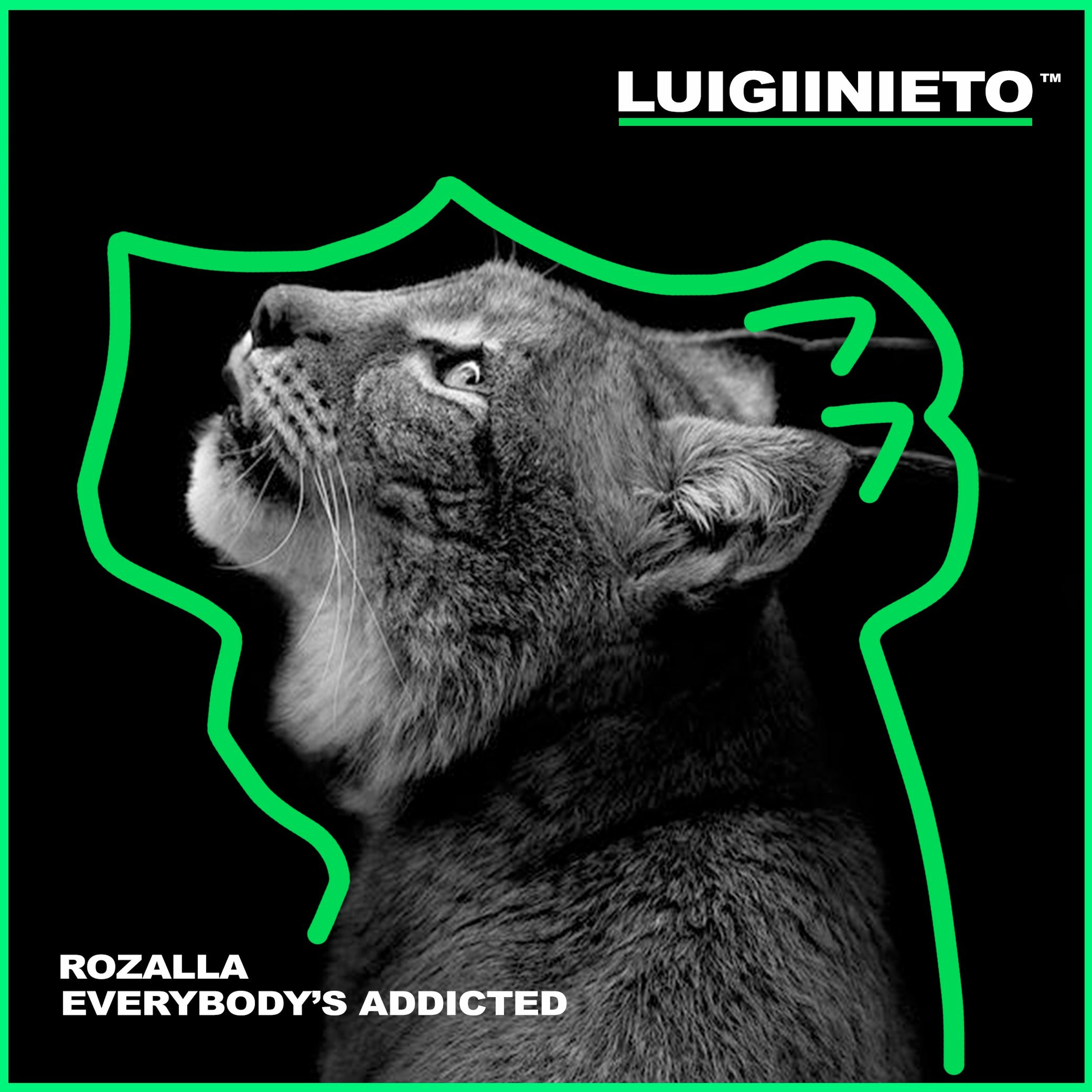 luigii nieto