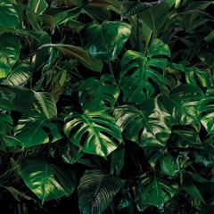 Kymvn J3h Ft. IZeek - Style [Vanuatu Reggae Music 2021]