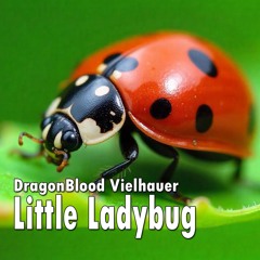 Little Ladybug