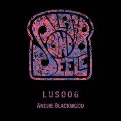 HSM PREMIERE | Andre Blackwood - Detroit [Laib und Seele Records]