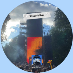 They Vibe - nacillim
