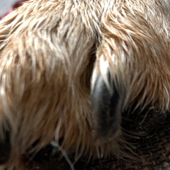 Even After Everything Maybe