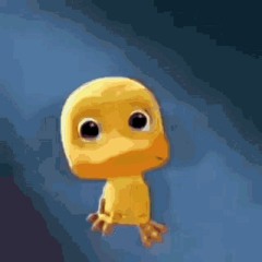 Crying Duck Meme
