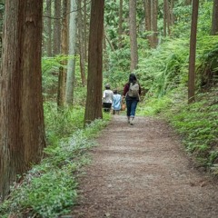 Kamil Pyciak | Forest Bathing and Its Benefits