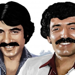 Ferdi ve Müslüm Babaların Divanı