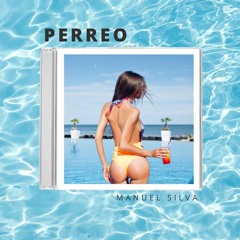 Manuel Silva- Perreo (Extended Mix)