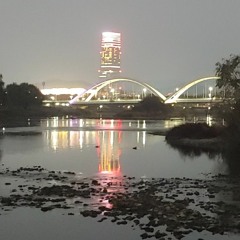 나카야마 미호 Miho Nakayama & WANDS - 세상 누구보다 분명 世界中の誰よりきっと