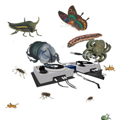 Outsiders: holding hands w/ Lloydfears & Bonebroth @ Kiosk Radio 09.03.2025