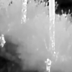 Russian UAZ-469 Flees Ukrainian Punisher Drone