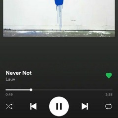 Never Not (Remix) - Lauv ft. Imber
