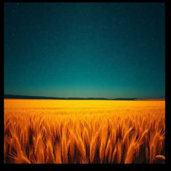 I walk these streets at dawn, the sidewa