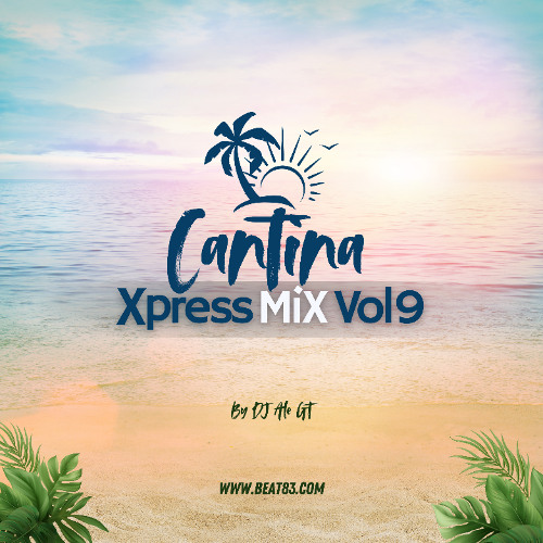 Cantina Xpress Mix Vol 9 - DJ Ale GT