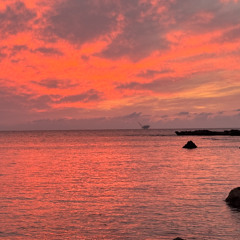 Pink Moon - Nick Drake (OB1 edit)