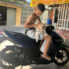 NST ANH DAU TU LUC EM DI