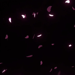 kehlani folded (juuku flip)