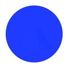 Sayonara - out now - Wakin' Up by Dom Mooney Instrumental