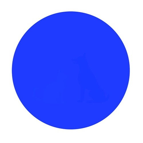 Sayonara - out now - Wakin' Up by Dom Mooney Instrumental