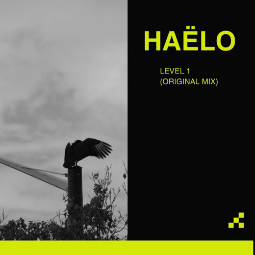 level 1 - haëlo