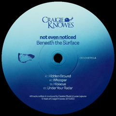 CKNOWEP65 | not even noticed - Beneath the Surface (EP)