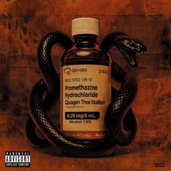 Hoodgothamar - QUAGEN THEE STALLION [prod.DESNxJAIHAWKFLY]