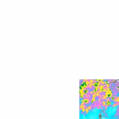 Jedwill - Garden (ryder flip)