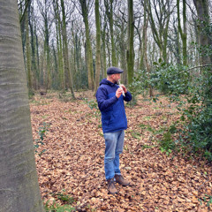 Voice of the Wood by Rob Mackay
