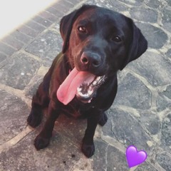 future/melodic garage chillout mix