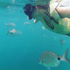 Best Snorkeling In Fort Lauderdale Fl Prices Reviews