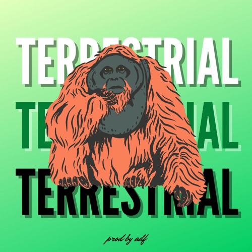 TERRESTRIAL - prod by adf - official audio