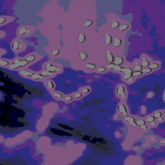 so many ways to love ya